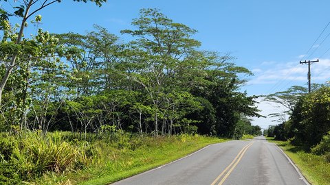 Land, Keaau, HI