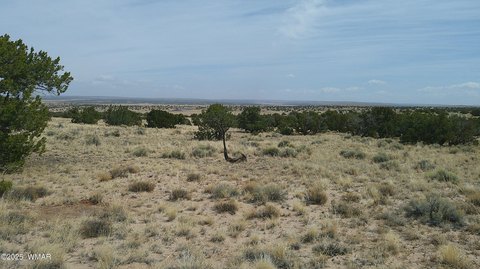 40 Acres Treed Land, St. Johns