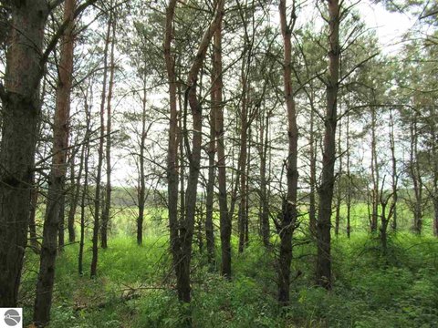 LAND - MANTON, MI