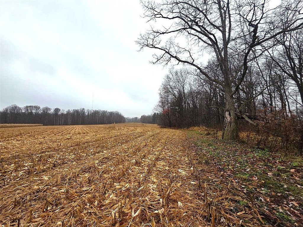 Barron, WI Wooded Acreage