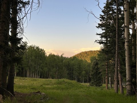 Cleared Level Recreational Home Site