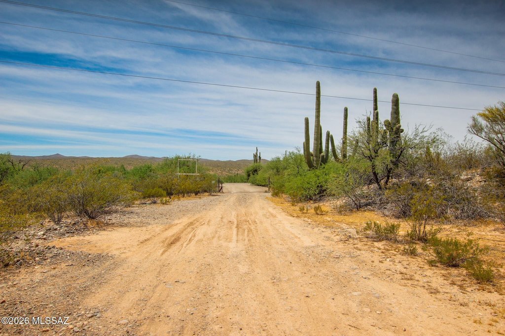 Picture 48