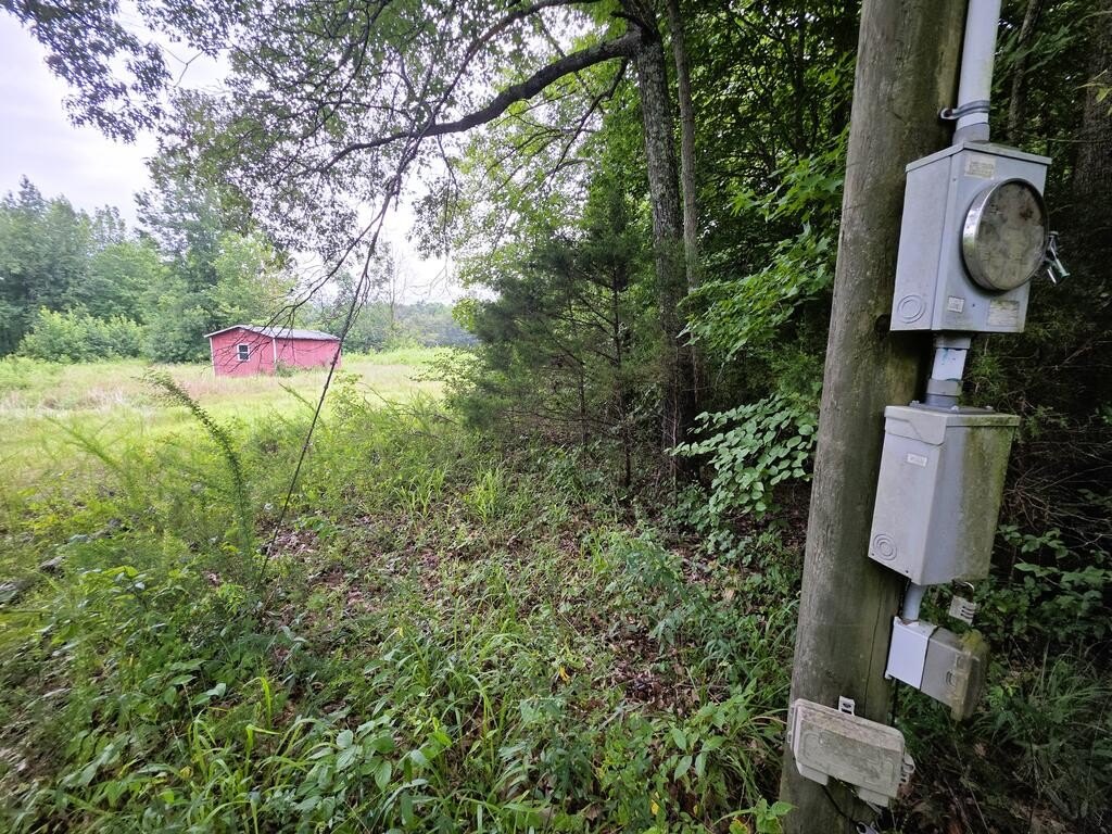 Picture 11