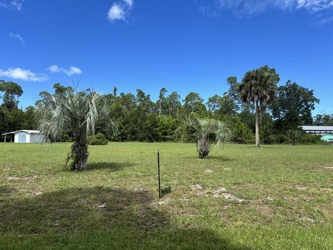 Oversized Buildable Land Lot
