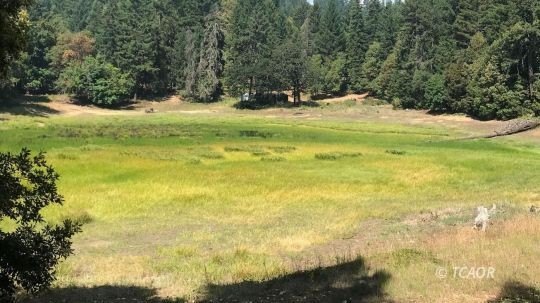 40 Acres Near Trinity River