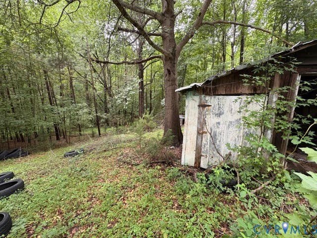 Picture 19