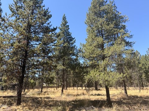 Land, Bend, OR