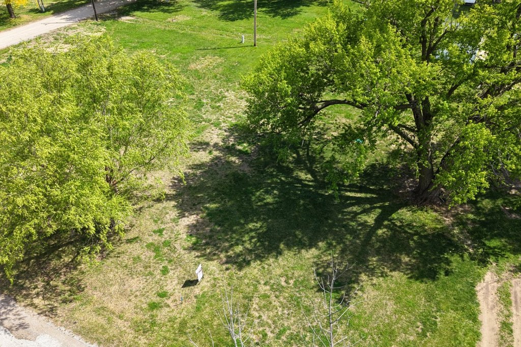 Picture 3