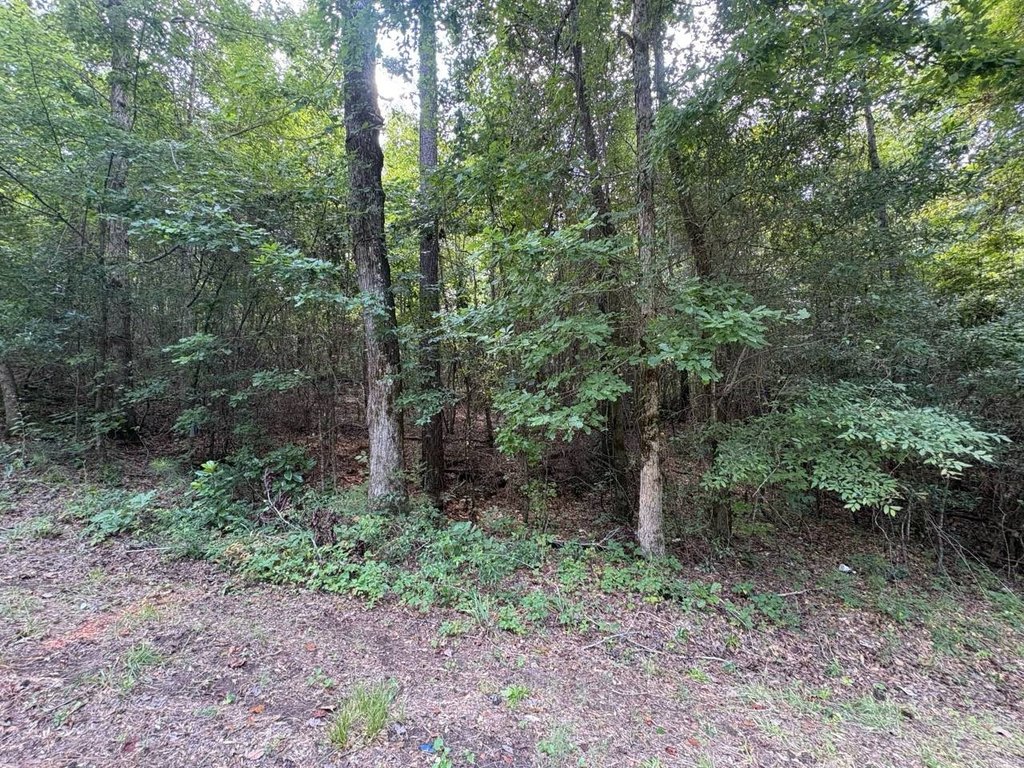 Picture 5