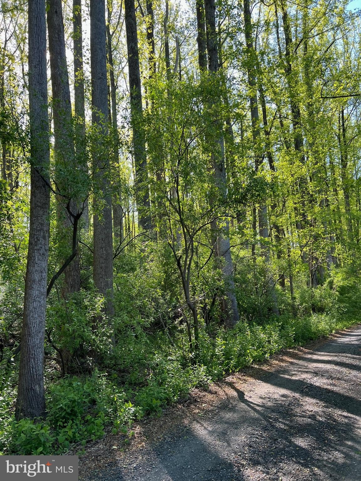 10 Acres Wooded Land