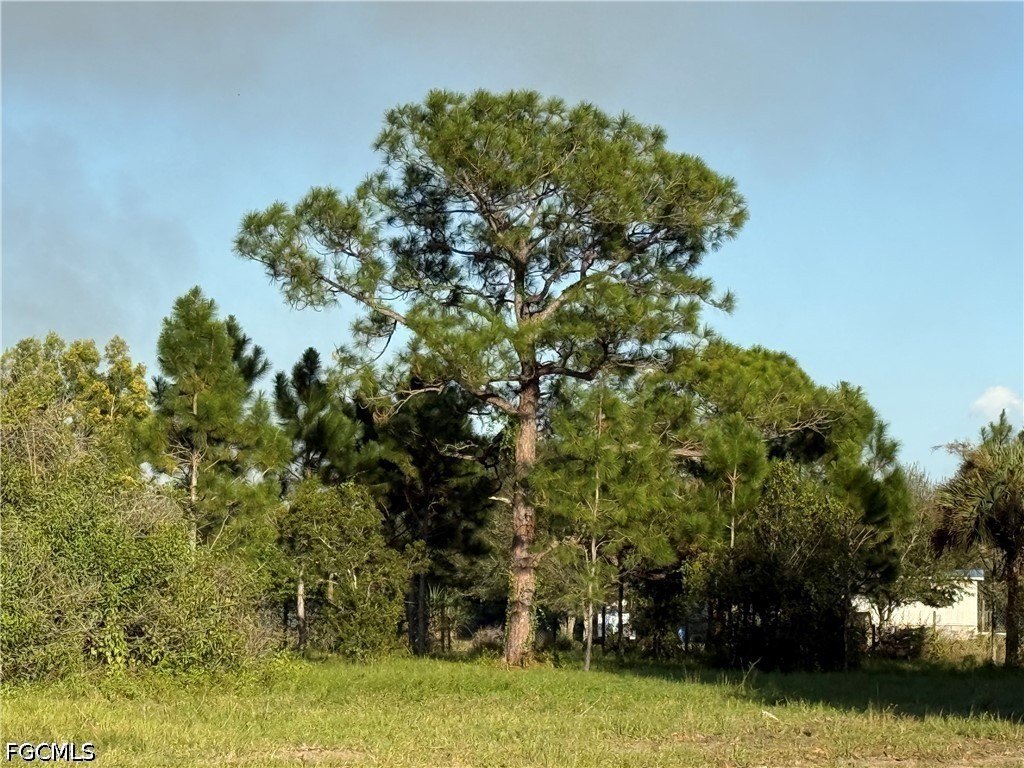 Picture 13