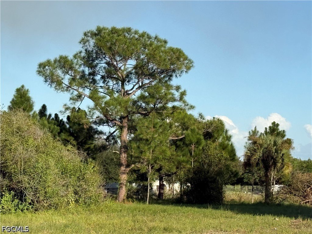 Picture 12