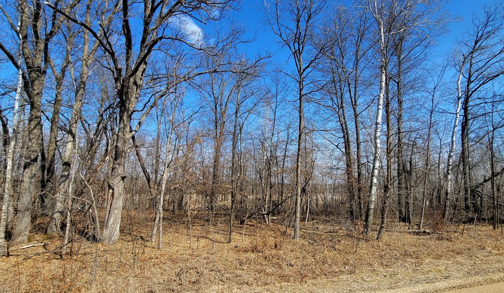 Picture 9