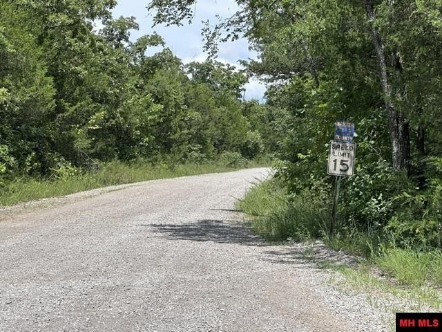 Picture 5