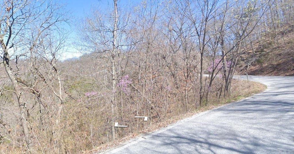 Picture 2