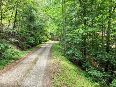 Private Mountain Homesite Lot