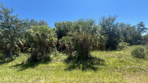 Land, PORT CHARLOTTE, FL