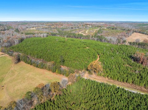 23 Acre Rural Homestead Land