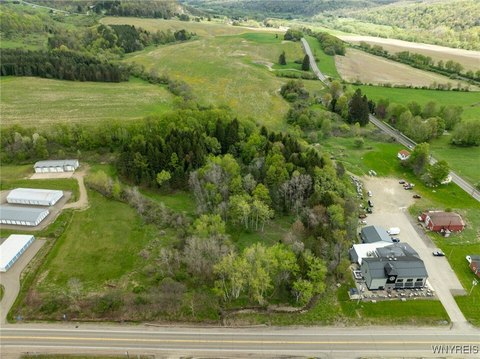 Ellicottville Commercial Land on Route 219