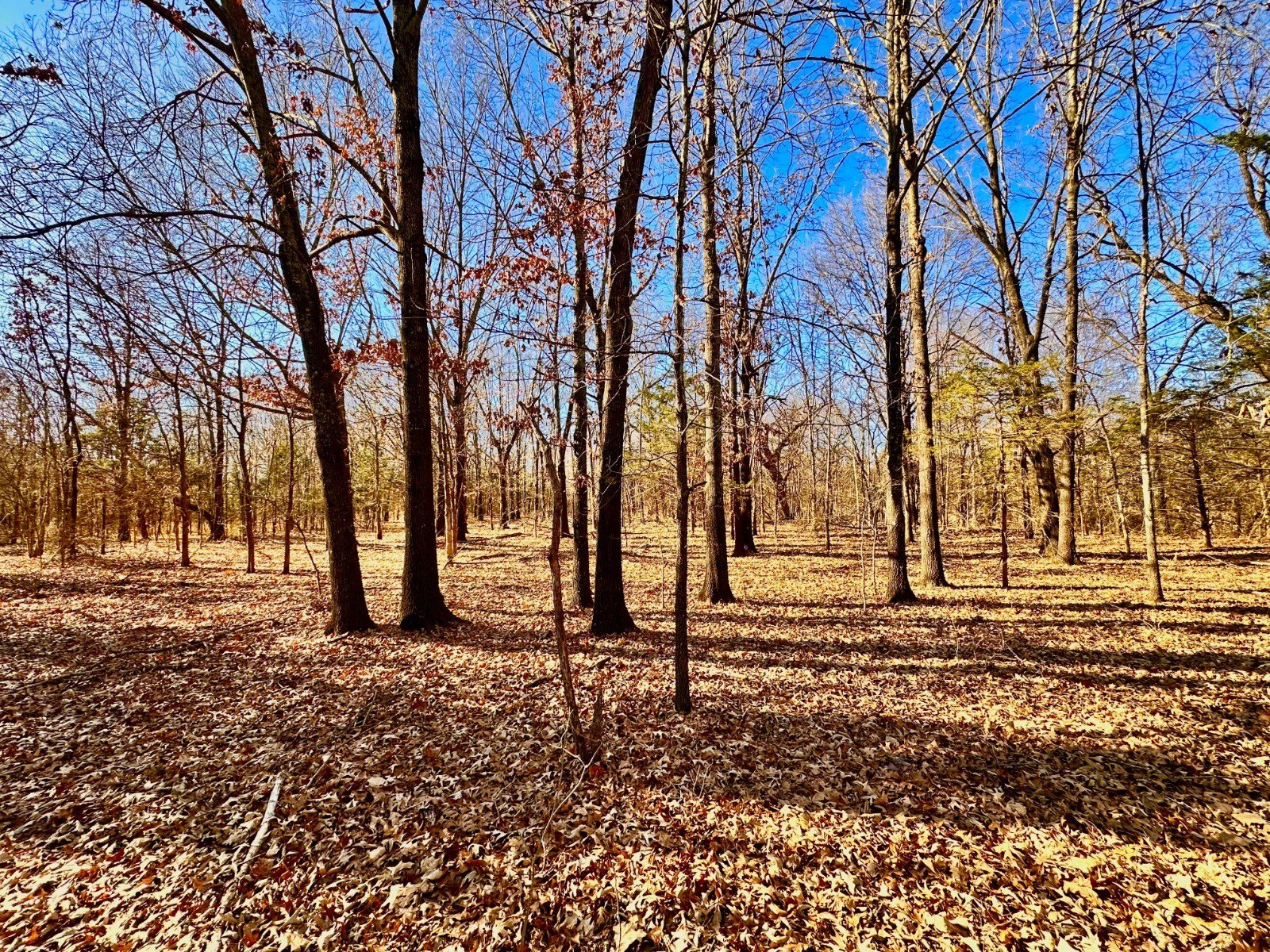5 Acre Land Near Lake Eufaula