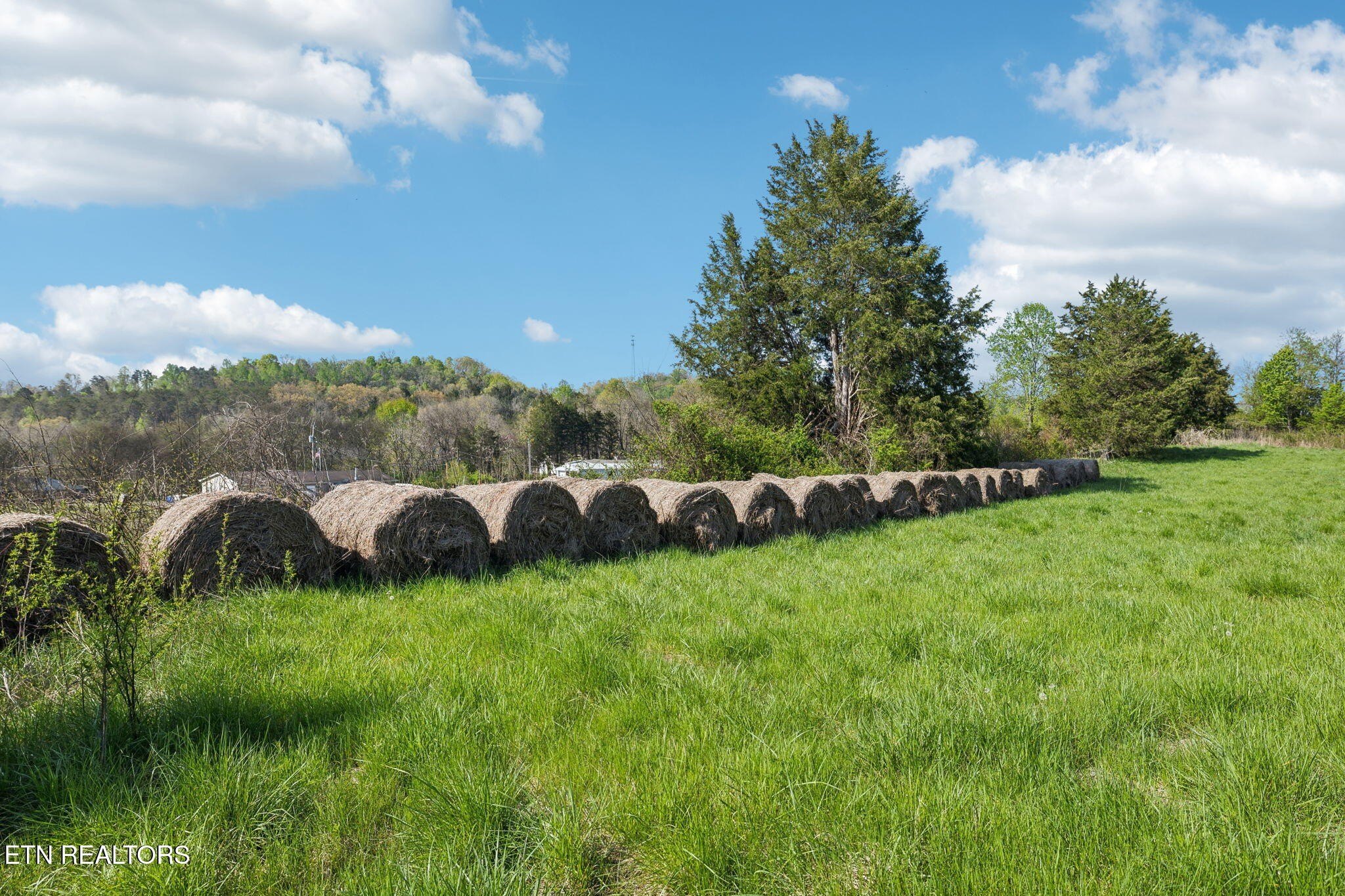 Unrestricted Kodak Farmland Opportunity