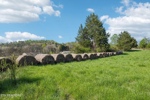 Unrestricted Land in Kodak, TN