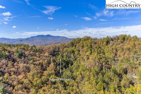 Lenoir, NC Wooded Acres