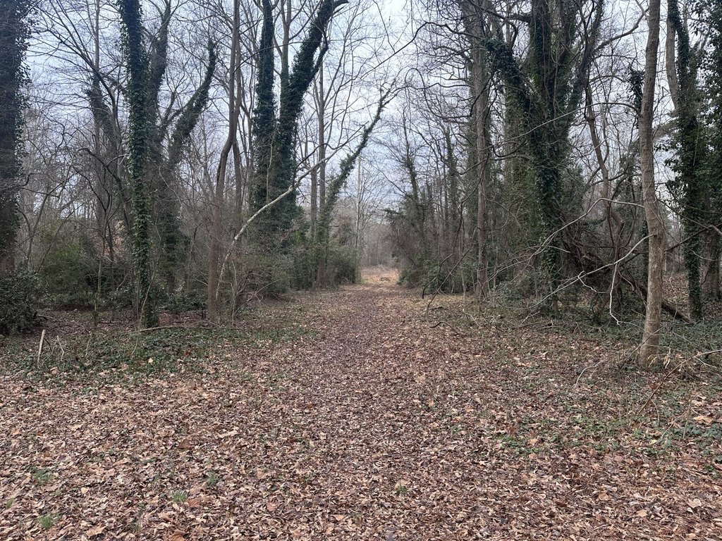 Picture 13