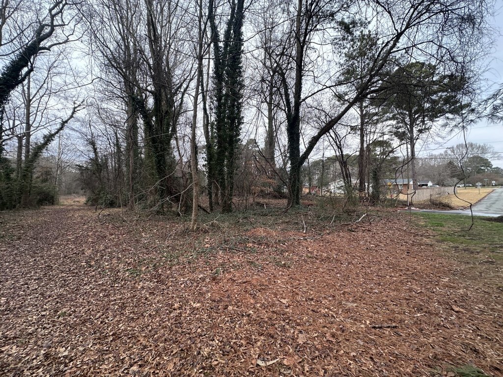 Picture 14