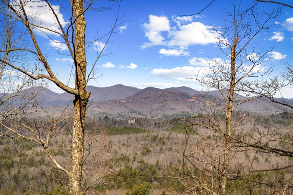 Raven Ridge Mountain View Homesite