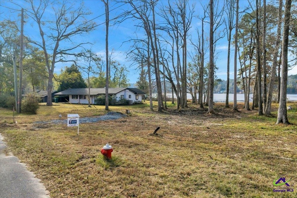 Picture 14