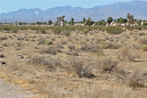 5-Acre Lot Near Highway 395