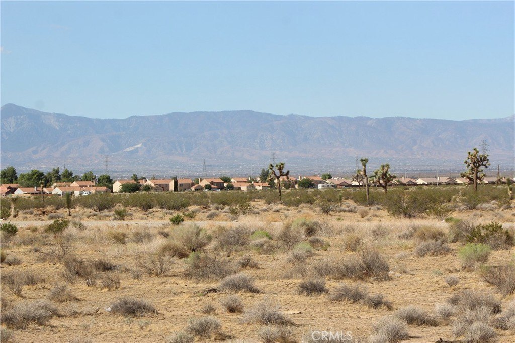 Picture 9