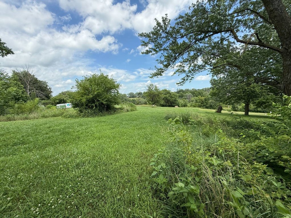 Picture 8