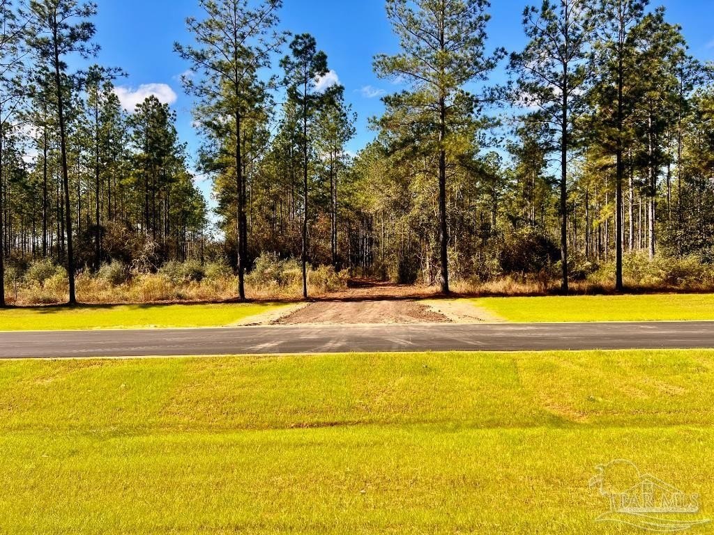 Spacious Wooded Lot Ready