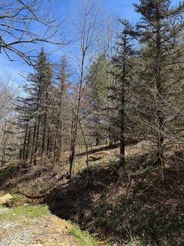 Unrestricted Land Near Banner Elk