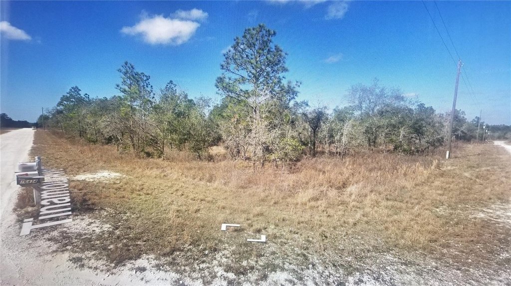 Picture 3