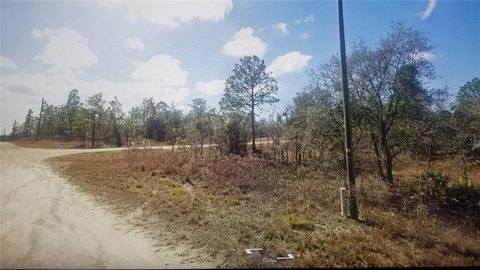Land, WEEKI WACHEE, FL