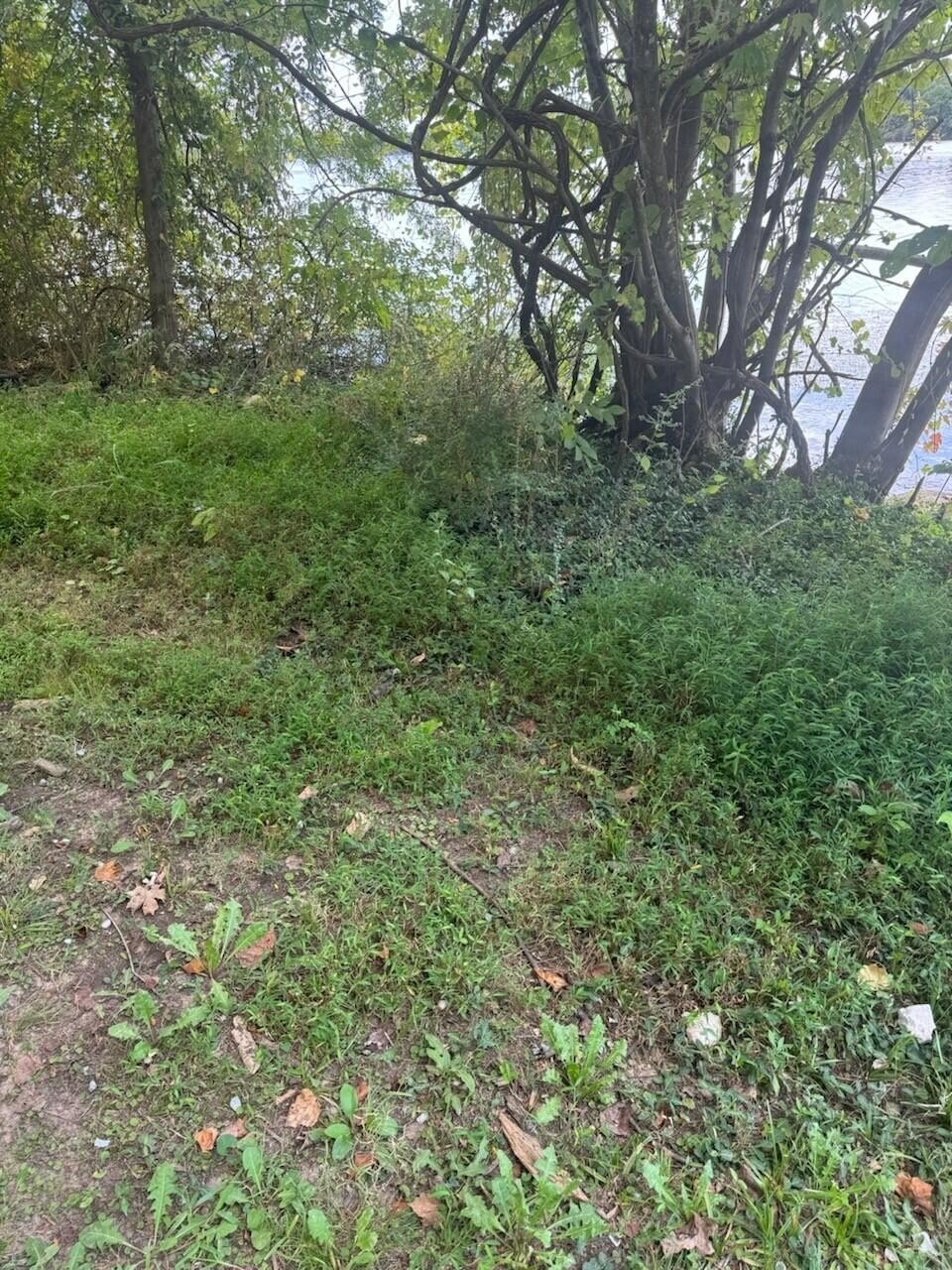 Crossville, TN Land For Sale