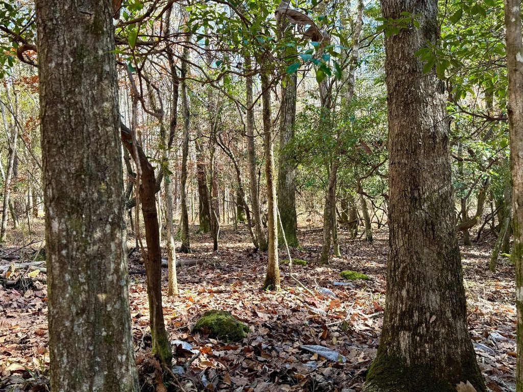 Picture 22