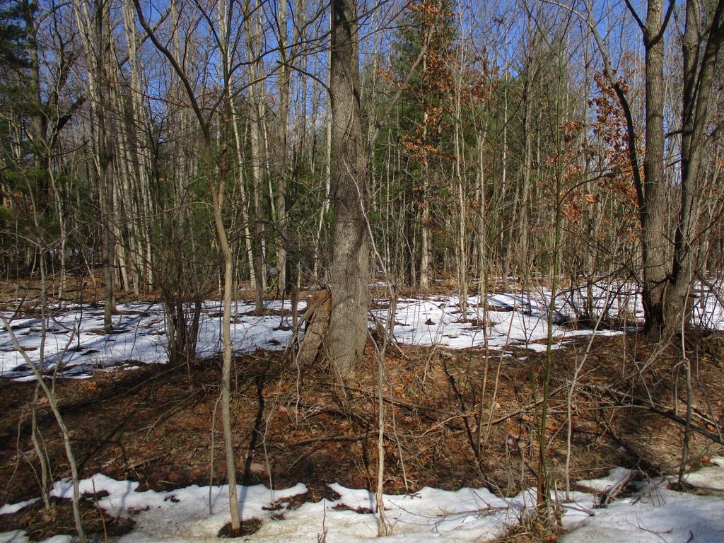 Picture 11