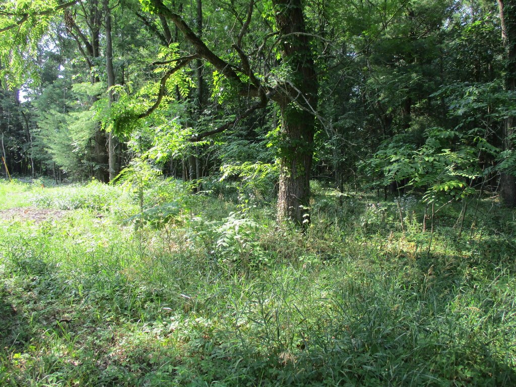 Picture 3