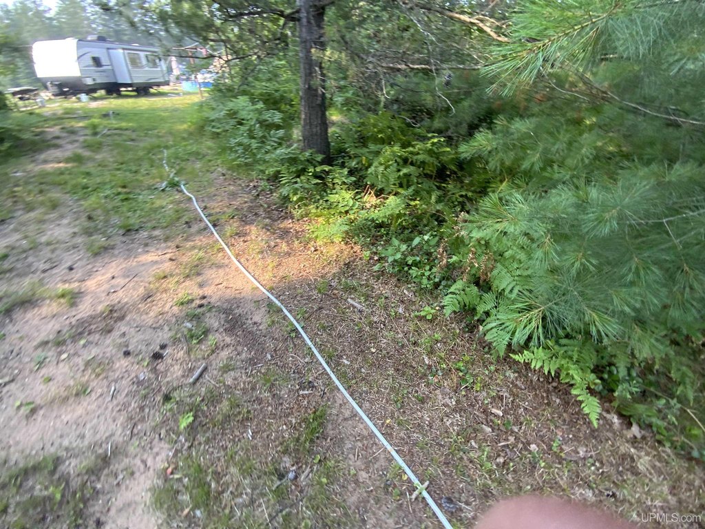 Picture 19