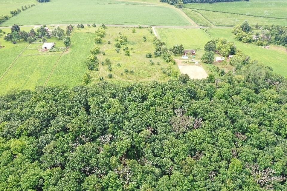 Picture 5