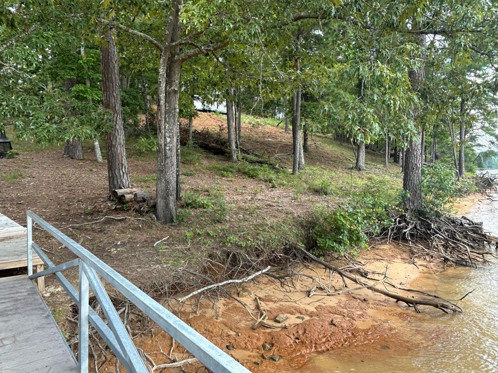 Picture 21