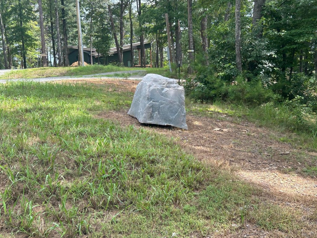 Picture 5