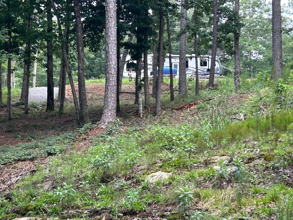 Picture 29