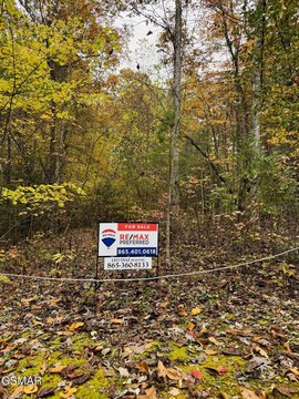 Mountain Retreat Land Near Smokies