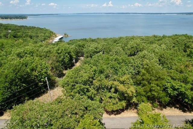 Sherwood Forest Vacant Lot