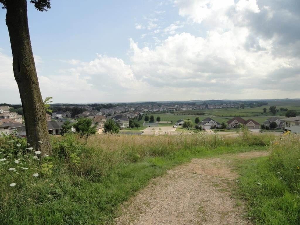 Picture 15